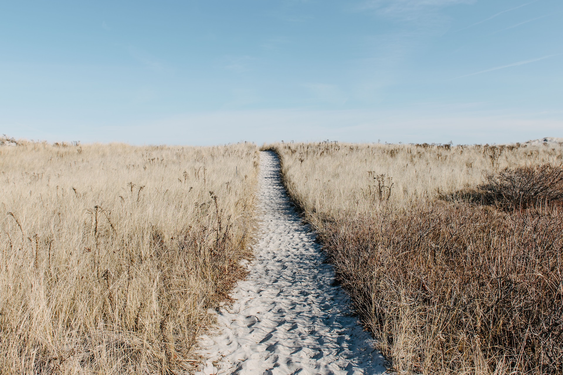 Smart search connects multiple data sources to match patients with available providers and locations in real time.